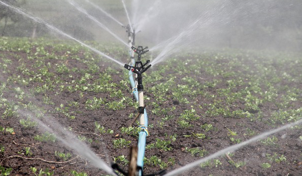 Agricultural Irrigation Systems Suppliers in Sindagi