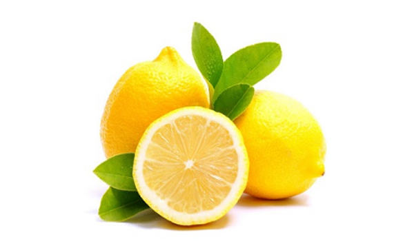 Lemon Suppliers in Egypt