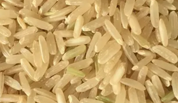 Brown Rice Suppliers in Macherla