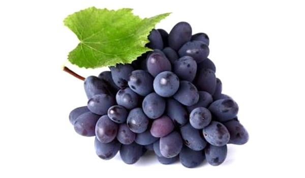 Grapes Suppliers in Karur