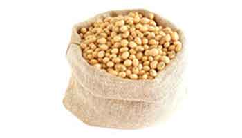 Soya Granules Suppliers in Sikanderpur