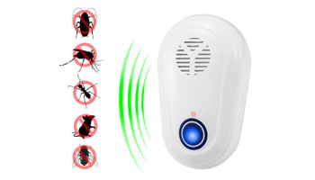 Pest Control Suppliers in Meerut