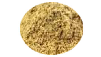 Khapli Wheat Suppliers