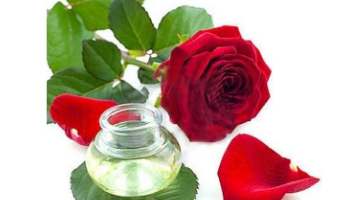 Rose Attar Suppliers