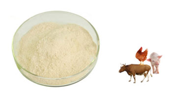 Feed Additives Suppliers in Sojat