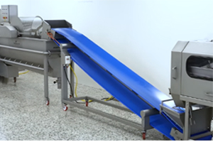 Fruit & Vegetable Processing Machine Suppliers