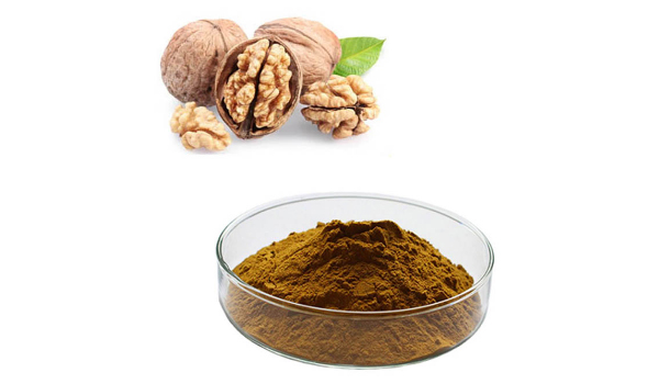 Walnut Powder Suppliers in Bargarh