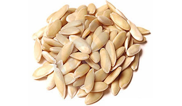 Cucumber Seeds Suppliers in Puliyankudi