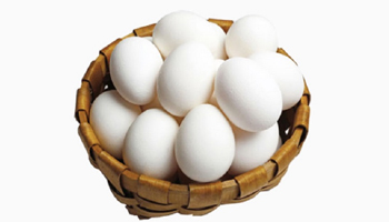 White Eggs Suppliers