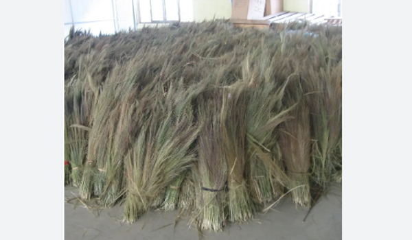 Broom Raw Material Suppliers