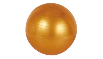 Exercise Ball Suppliers