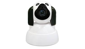 Wireless Web Camera Suppliers