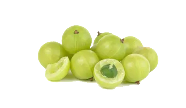 Amla (Gooseberries) Suppliers