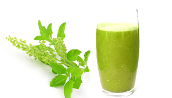 Tulsi Juice Suppliers