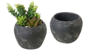 Plant Bowls Suppliers