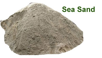 Sea Sand Suppliers