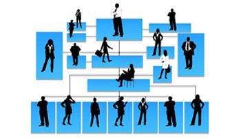 Org Chart Software Suppliers