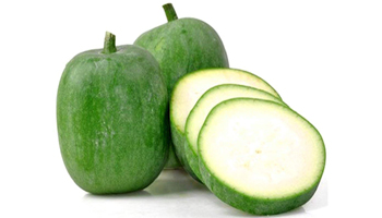 Ash Gourd Suppliers in Muzaffarpur