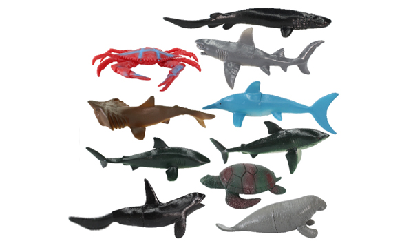 Aquatic Animals Suppliers