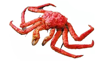 Sea Crab Suppliers