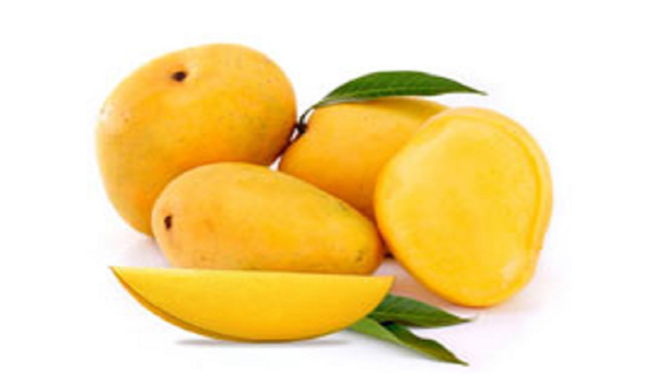 Alphonso Mangoes Suppliers in Tirupathur