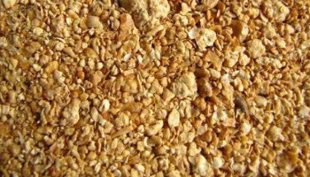 Layer Chicken Feed Suppliers