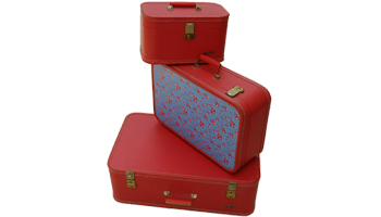 Baggage Insurance Services Suppliers