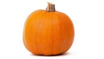 Pumpkin Suppliers in Makhdumpur