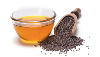 Mustard Oil Suppliers in Najibabad