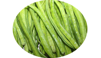 Cluster Beans Suppliers