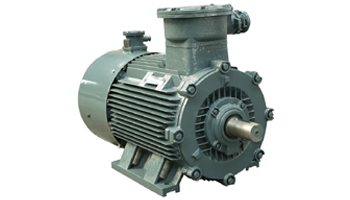 Flame Proof Motors Suppliers