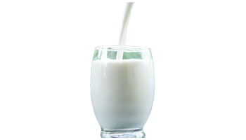 Skimmed Milk Suppliers in Uganda