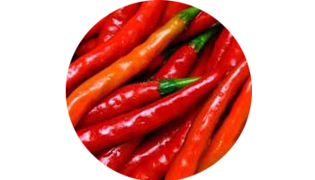 Cayenne Pepper Suppliers in Noida