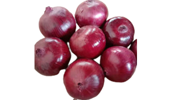 Silverskin Onion Suppliers in Madanapalle