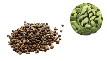 Cardamom Seeds Suppliers