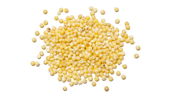 Foxtail Millet Suppliers