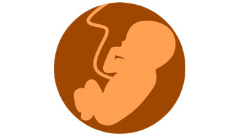 Online IVF & Infertility Consultation Services Suppliers