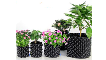 Plant Containers Suppliers in Sangaria