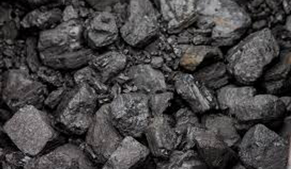 Raw Coal Suppliers in Porbandar