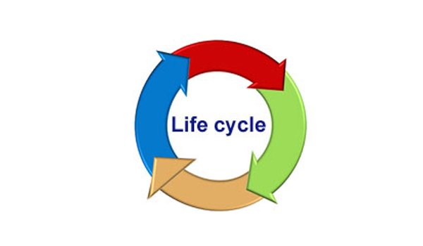 Application Lifecycle Management Software Suppliers