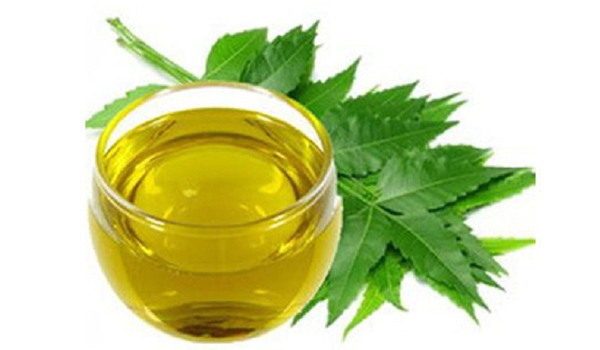 Neem Oil Suppliers in Sinnar