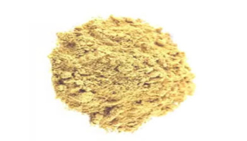 Hing (Asafoetida) Suppliers