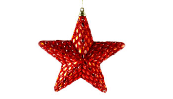 Christmas Star Suppliers in Rawatbhata