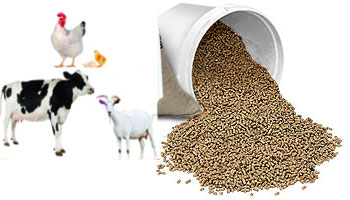 Animal Feed Supplement Suppliers in Thanjavur