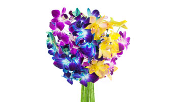 Orchid Bouquet Suppliers