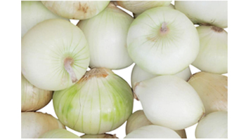 Sweet Onion Suppliers in Shajapur