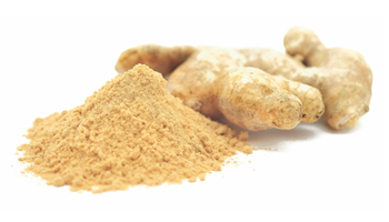 Dry Ginger Powder Suppliers