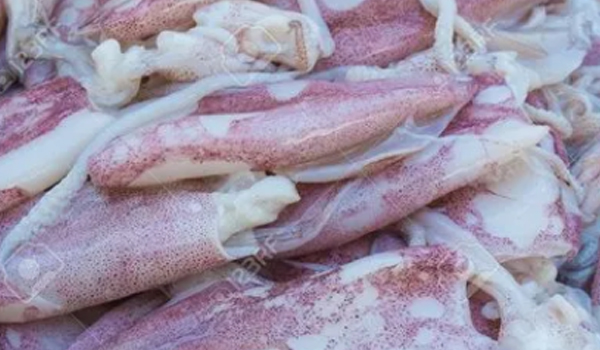 Frozen Squids Suppliers in Vadakkuvalliyur