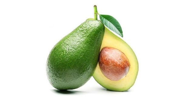 Avocado Suppliers in Parli