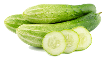 Cucumber Suppliers in Shivamogga